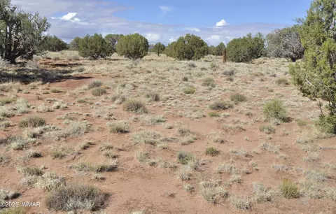 241 N9234, Concho, AZ 85924 photo 5