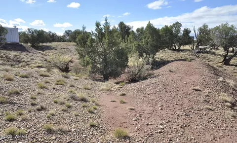 241 N9234, Concho, AZ 85924 photo 14