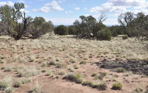 241 N9234, Concho, AZ 85924 photo 4