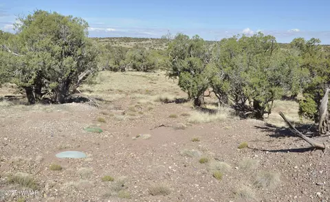 241 N9234, Concho, AZ 85924 photo 11