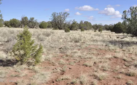 241 N9234, Concho, AZ 85924 photo 3