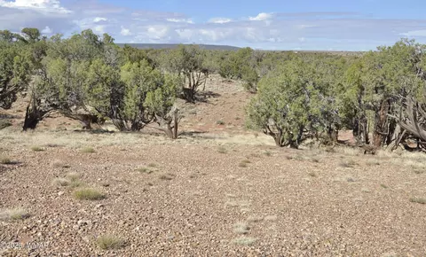 241 N9234, Concho, AZ 85924 photo 12