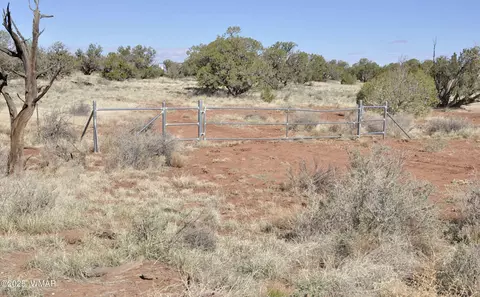 241 N9234, Concho, AZ 85924 photo 2