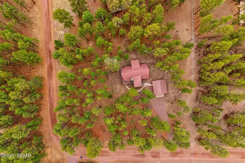 View/Area - 3 Cr 2080, Alpine, AZ 85920 photo 1 of 4