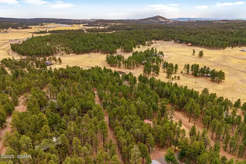 View/Area - 3 Cr 2080, Alpine, AZ 85920 photo 2 of 4