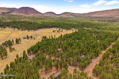 View/Area - 3 Cr 2080, Alpine, AZ 85920 photo 3 of 4