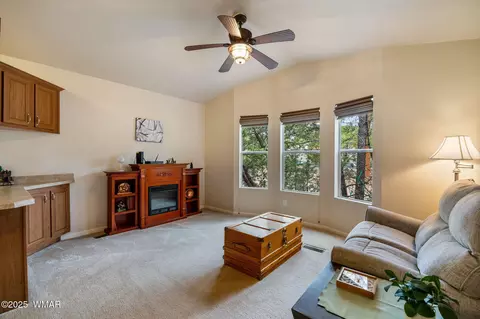 2871 Rainbow Trl, Overgaard, AZ 85933 photo 7