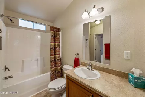 2871 Rainbow Trl, Overgaard, AZ 85933 photo 16