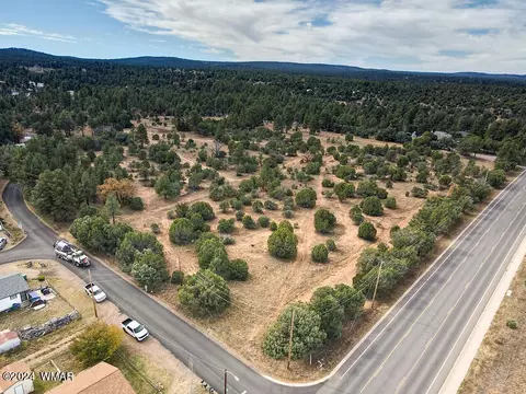 1101 W Old Linden Rd, Show Low, AZ 85901
