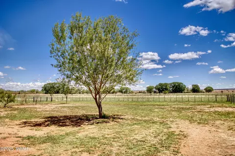 Exterior - 252 E Belly Button Ln, Snowflake, AZ 85937 photo 8 of 8