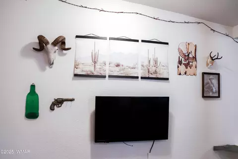 Other - 2853 Markham Rd, Overgaard, AZ 85933 photo 12 of 14