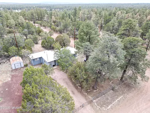 View/Area - 2853 Markham Rd, Overgaard, AZ 85933 photo 1 of 1