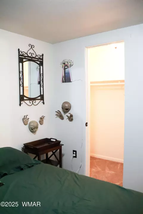 Other - 2853 Markham Rd, Overgaard, AZ 85933 photo 6 of 14