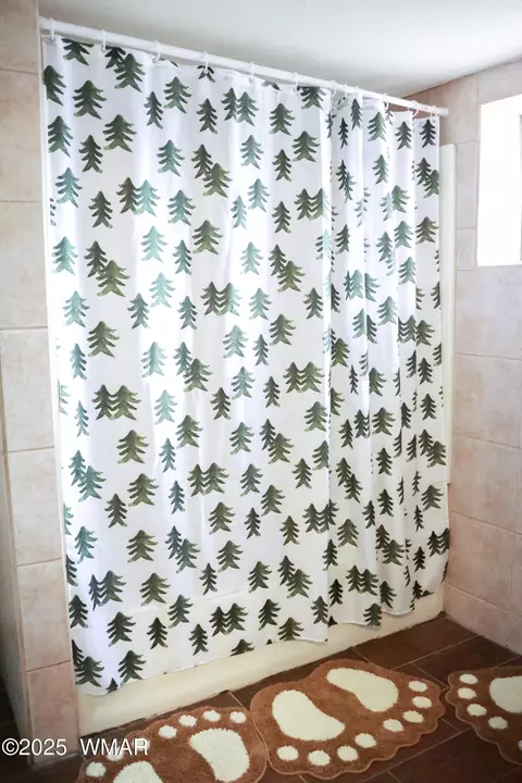 Bath - 2853 Markham Rd, Overgaard, AZ 85933 photo 1 of 2
