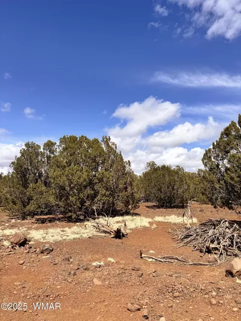 tbd Hawk Rd, Show Low, AZ 85901