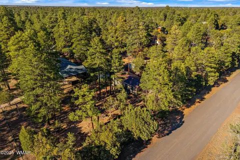 2156 Timber Dr, Overgaard, AZ 85933 photo 25