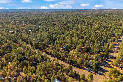 2156 Timber Dr, Overgaard, AZ 85933 photo 28