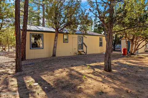 2156 Timber Dr, Overgaard, AZ 85933 photo 23