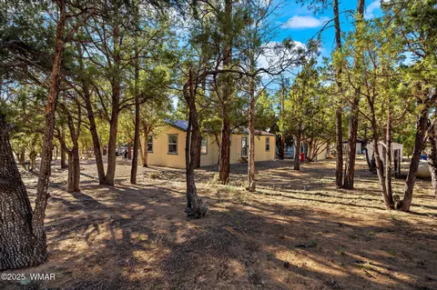 2156 Timber Dr, Overgaard, AZ 85933 photo 24