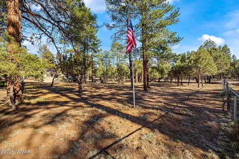 2156 Timber Dr, Overgaard, AZ 85933 photo 20