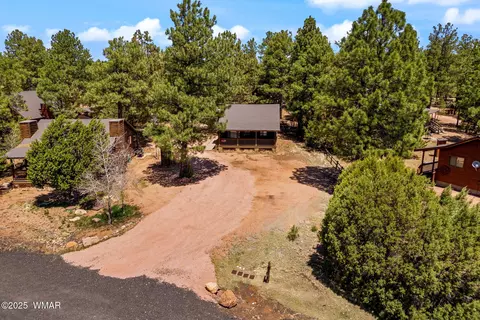 View/Area - 2741 Bear Trl, Overgaard, AZ 85933 photo 1 of 6