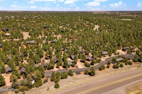 View/Area - 2741 Bear Trl, Overgaard, AZ 85933 photo 6 of 6