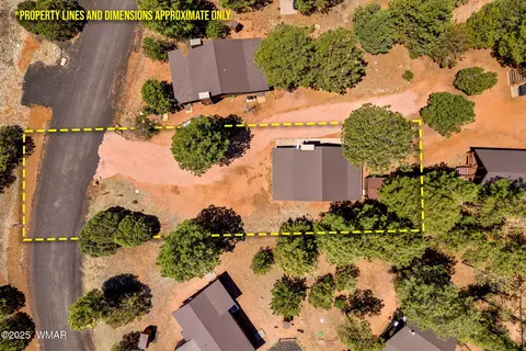 View/Area - 2741 Bear Trl, Overgaard, AZ 85933 photo 5 of 6