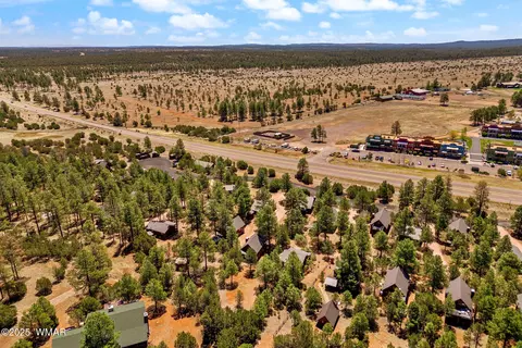View/Area - 2741 Bear Trl, Overgaard, AZ 85933 photo 4 of 6
