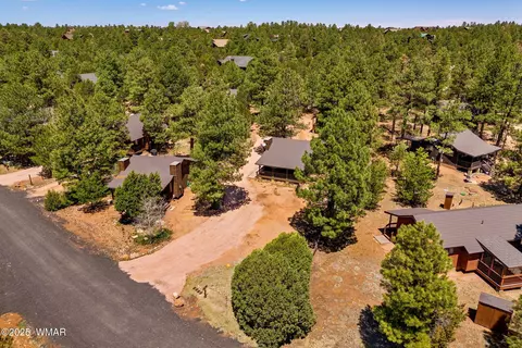 View/Area - 2741 Bear Trl, Overgaard, AZ 85933 photo 2 of 6