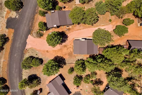 View/Area - 2741 Bear Trl, Overgaard, AZ 85933 photo 3 of 6