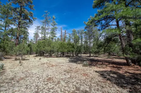 5343 Stilletto Dr, Lakeside, AZ 85929