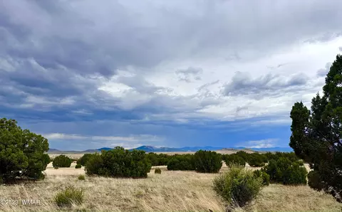 tbd County Rd N3440, Concho, AZ 85924