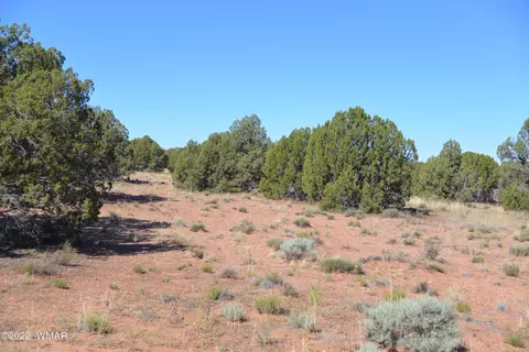 4278 Indian Bend Rd, Snowflake, AZ 85937