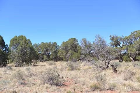 3987 Aztec Rd, Snowflake, AZ 85937 photo 2