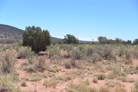 3987 Aztec Rd, Snowflake, AZ 85937 photo 3