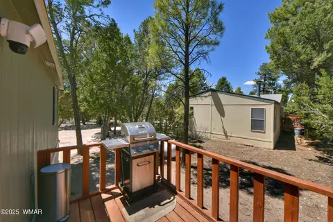 2934 Breezy Pine Dr, Overgaard, AZ 85933 photo 32