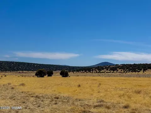 58 136 Co Rd 8253, Concho, AZ 85924