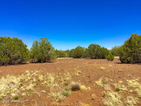 1528 Falcon Rd, Show Low, AZ 85901