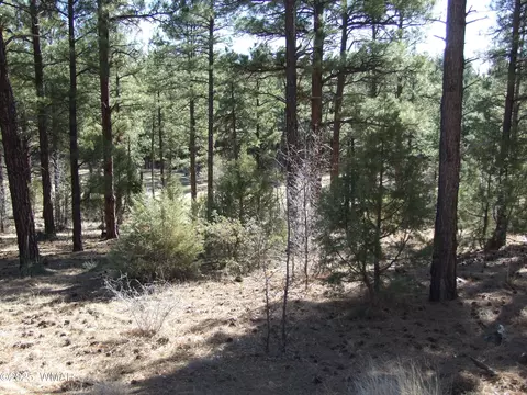 181 N Retreat Way, Show Low, AZ 85901