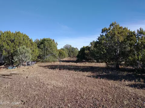 42 Cochise Trl, Vernon, AZ 85940