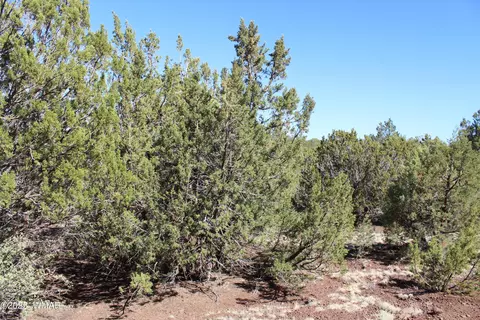 56 58 Co Rd 3193, Vernon, AZ 85940