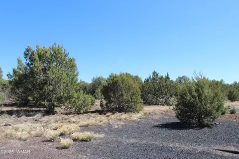 28 County Road N3099, Vernon, AZ 85940