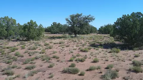 4434 Indian Bend Rd, Snowflake, AZ 85937