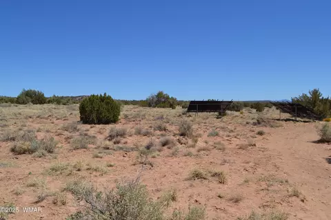 tbd Clyde Rd, Snowflake, AZ 85937 photo 23