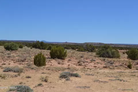 tbd Clyde Rd, Snowflake, AZ 85937 photo 22