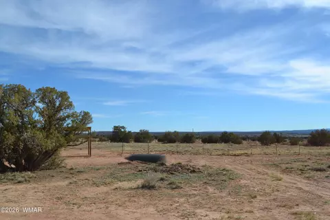 tbd Clyde Rd, Snowflake, AZ 85937 photo 9
