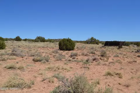 tbd Clyde Rd, Snowflake, AZ 85937 photo 24
