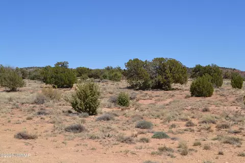 tbd Clyde Rd, Snowflake, AZ 85937 photo 21