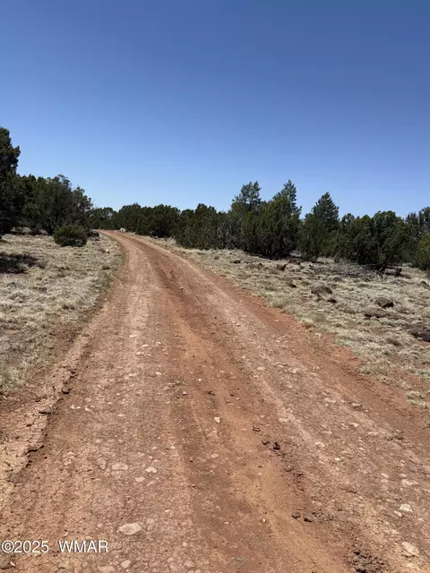9334 Texas Lane, Show Low, AZ 85901