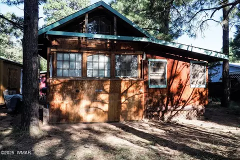 2841 Timber Trail Loop, Overgaard, AZ 85933 photo 24